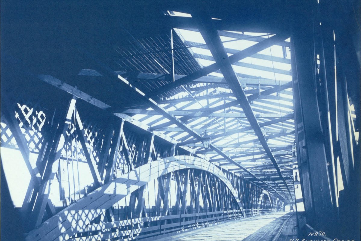 Historical cyanotype contact print Historical cyanotype contact print