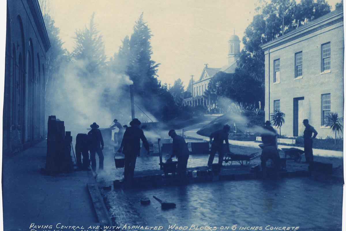Historical cyanotype contact print