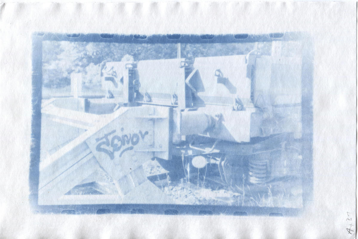 Terry King’s Cyanotype Rex