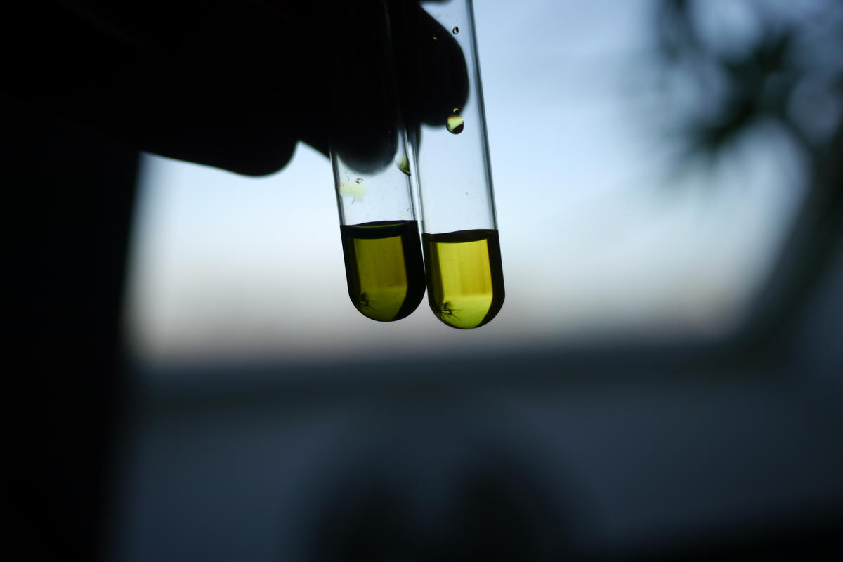 Ammonium ferric citrate on the left, potassium ferricyanide on the right Ammonium ferric citrate on the left, potassium ferricyanide on the right