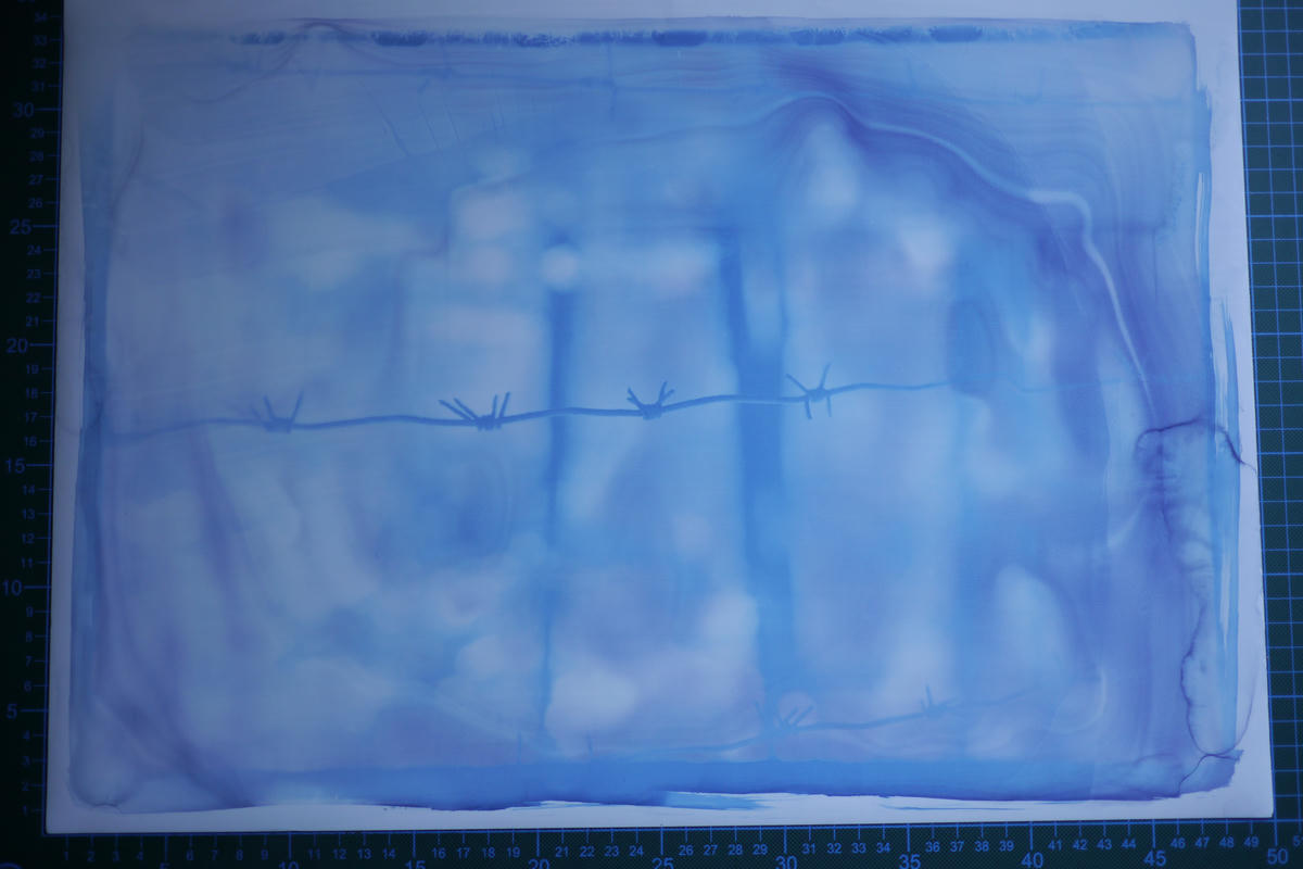 Symbolism, in my cyanotypes?! Symbolism, in my cyanotypes?!