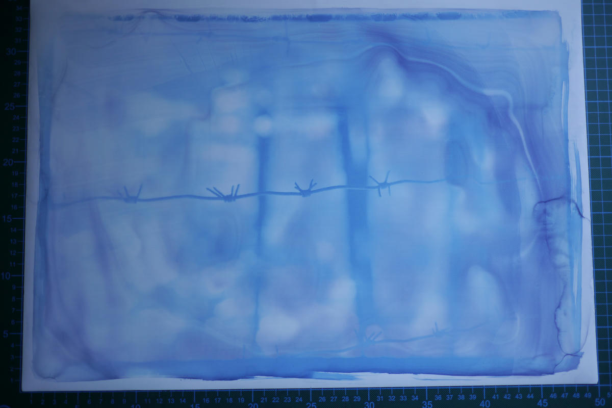 Symbolism, in my cyanotypes?!