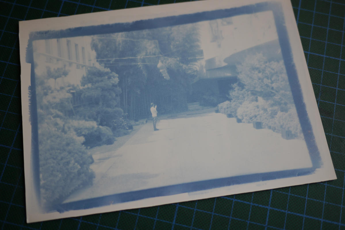 Cyanotype print made from 35mm film Cyanotype print made from 35mm film