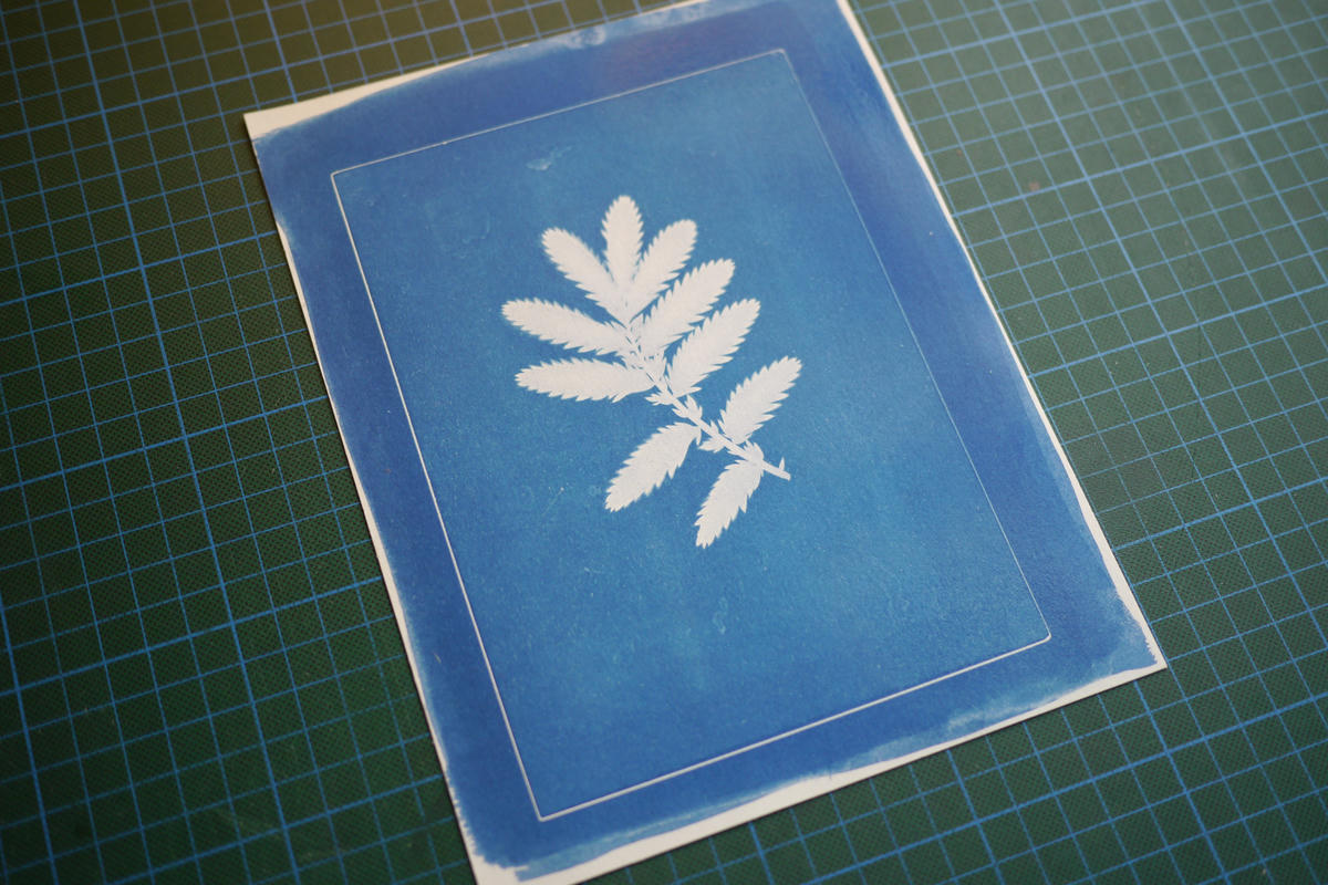 After rinsing the print under water. After rinsing the print under water.