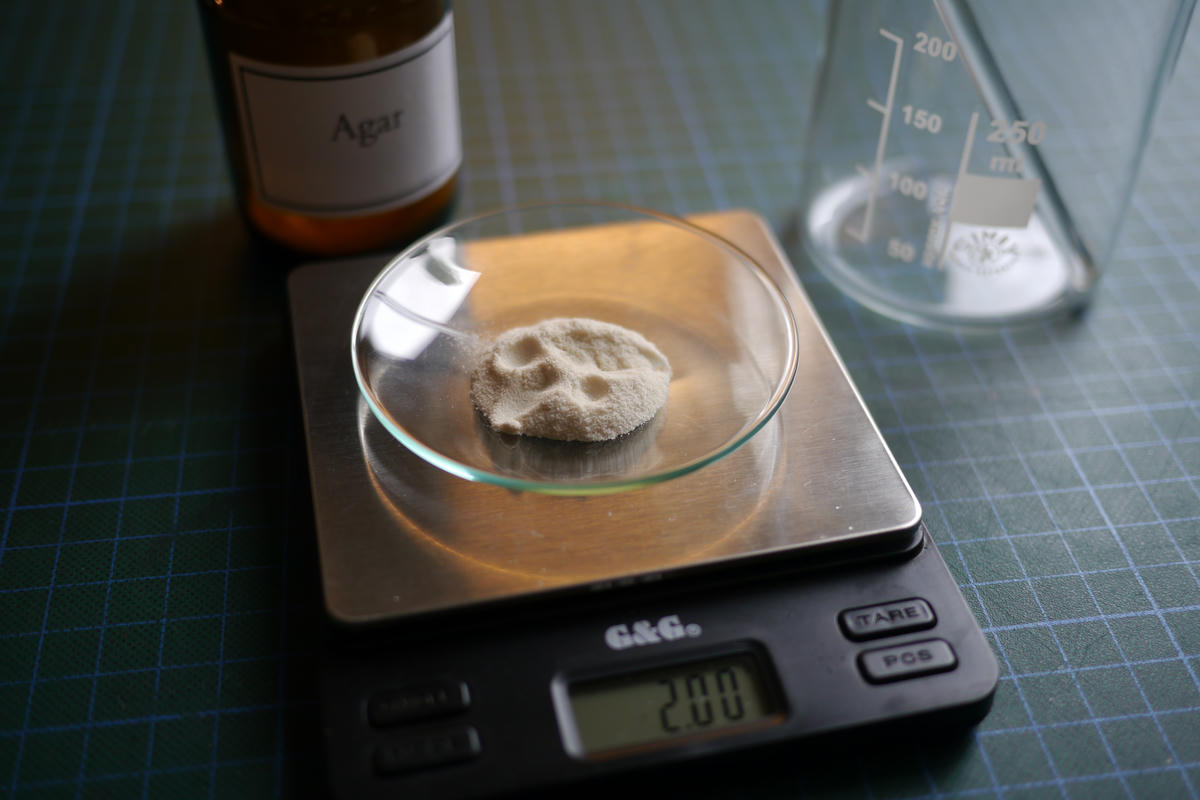 Measuring out the agar powder, 2g for 100ml of water Measuring out the agar powder, 2g for 100ml of water
