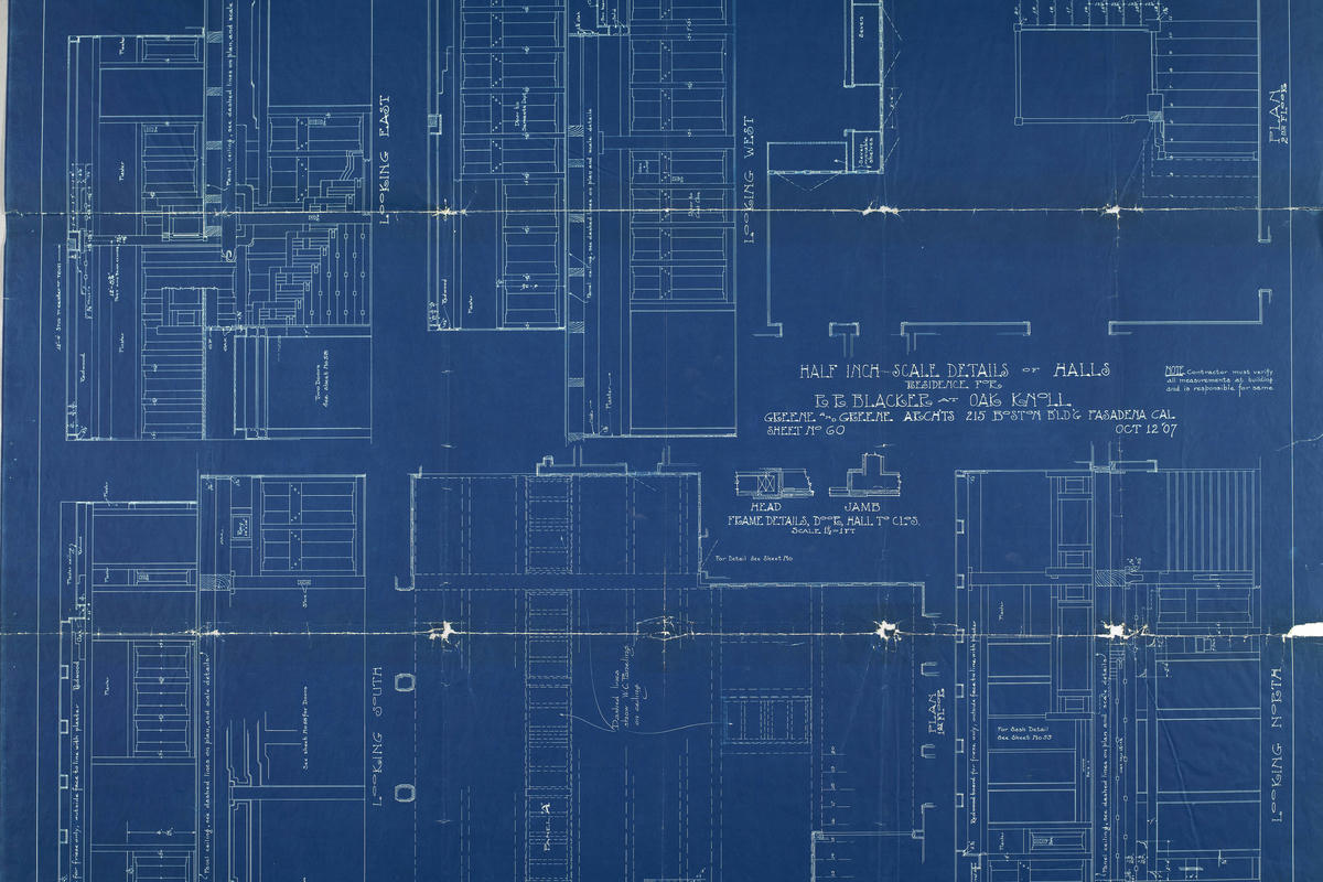 An actual blueprint. Of a house.