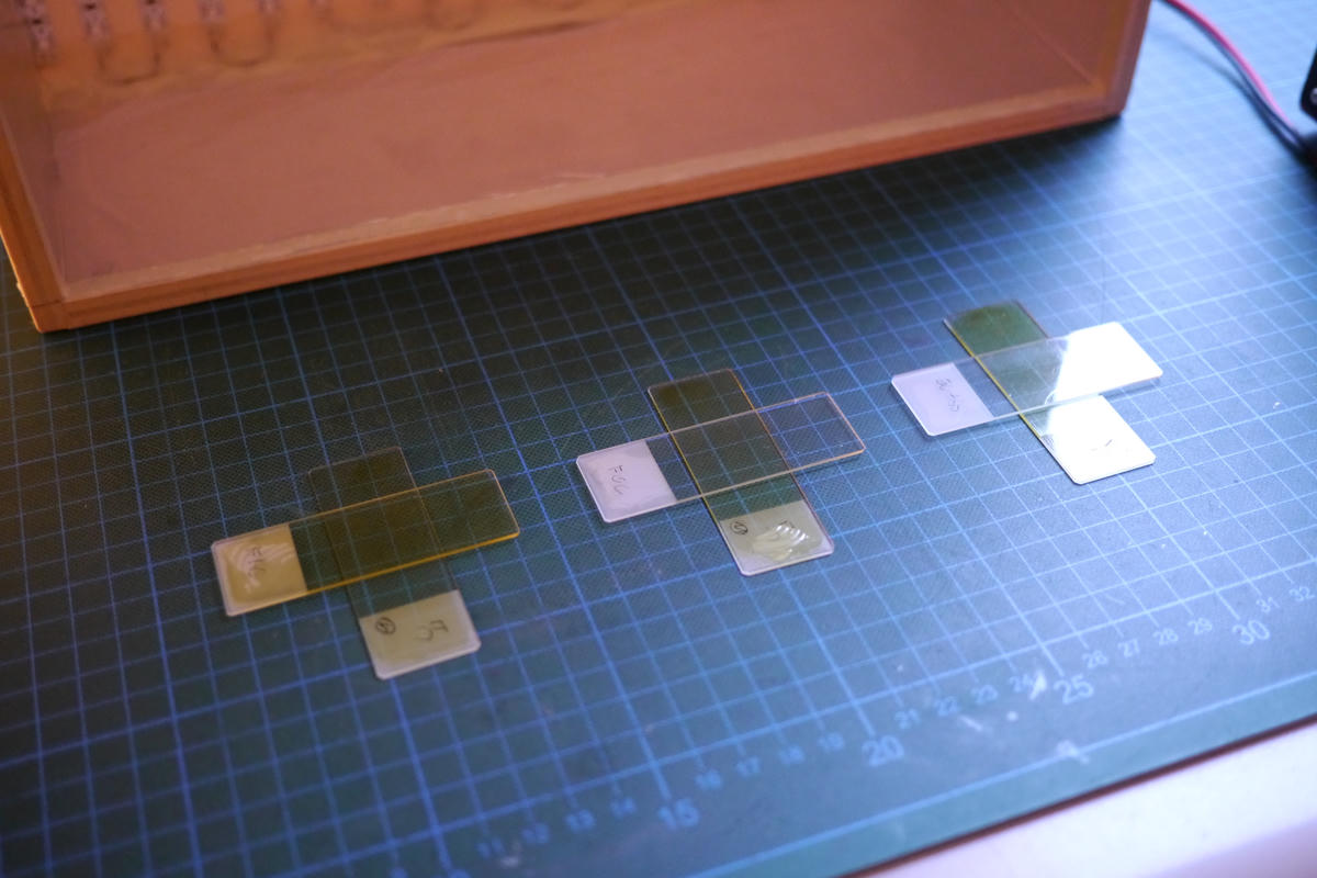 Slides set up for exposure under a UV light box